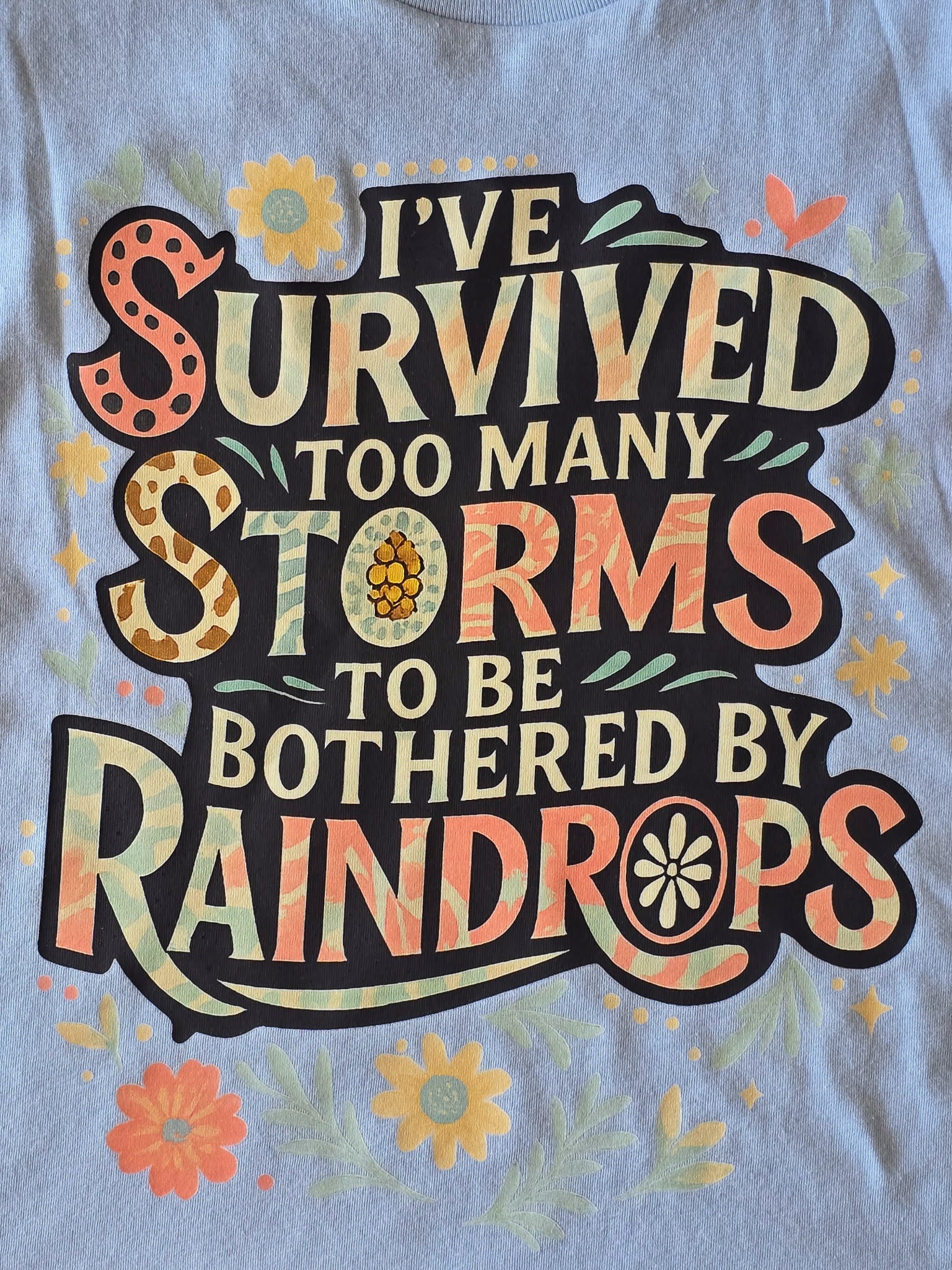I've Survived Too Many Storms Tee or Sweatshirt